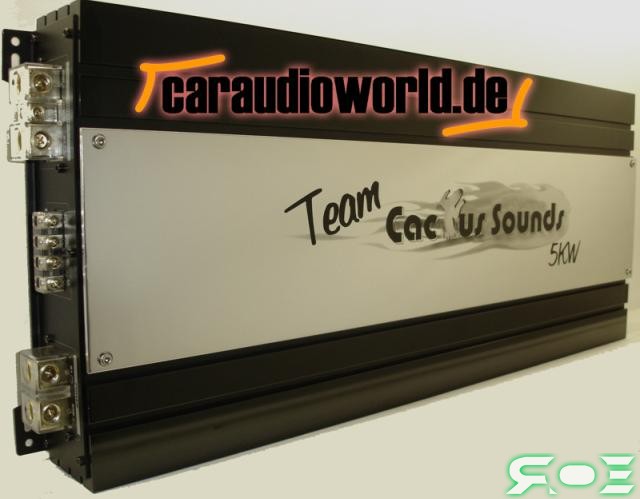 Файл:CactusSoundsTeamCactus5kw-1582.jpg