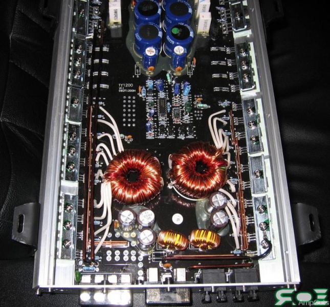 Файл:Eyebrid1Y1200-2686.jpg